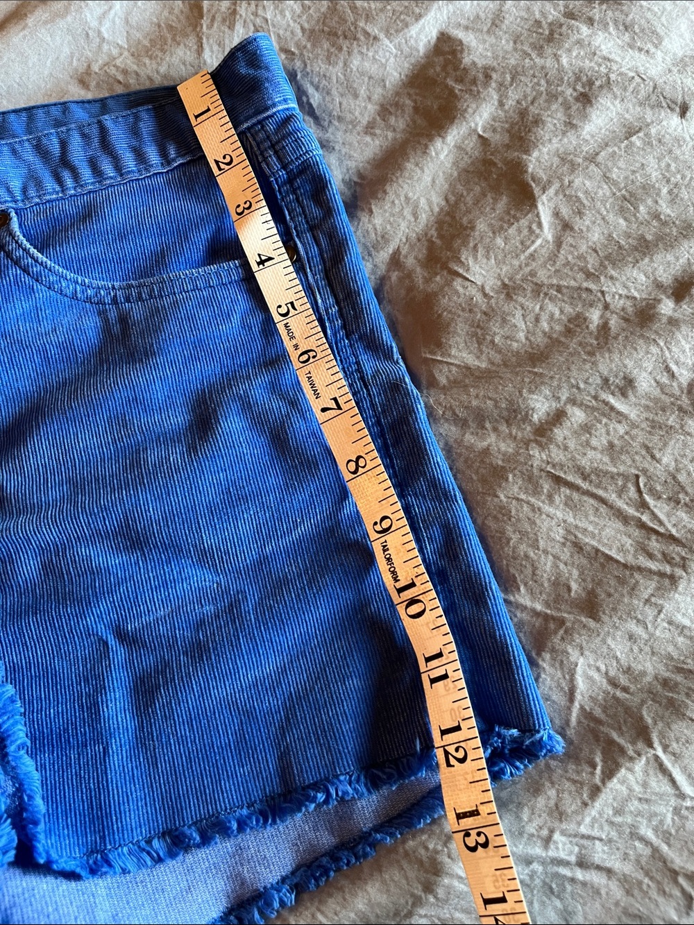 Carve Designs Bright Blue Frayed Hem Jean Shorts - Picture 7 of 7